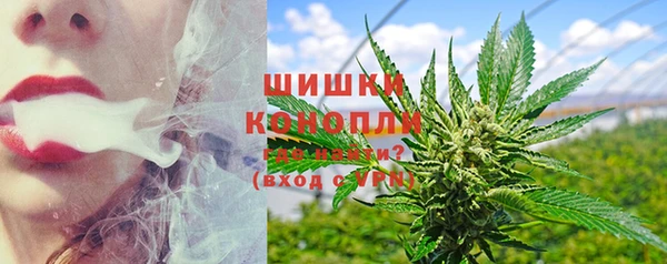 винт Белокуриха