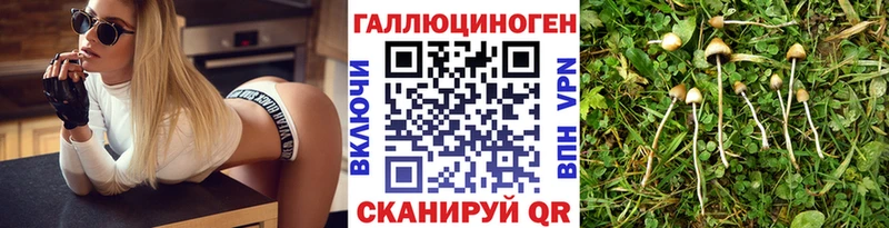 Псилоцибиновые грибы Cubensis  купить  цена  Кондрово 